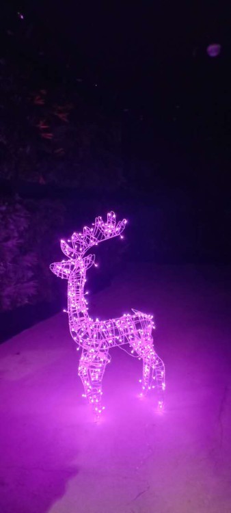 RENIFER DO OGRODU ŚWIECĄCY RENIFER LED DO OGRODU JELEŃ LED OZDOBA ŚWIĄTECZNA DEKORACJA OGRODOWA OZDOBA LED RGB